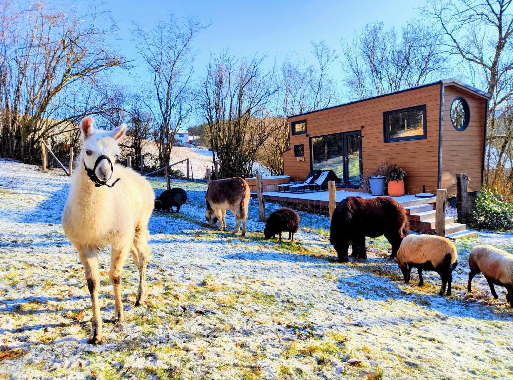 La Mini Maison Du Lama リバン エクステリア 写真